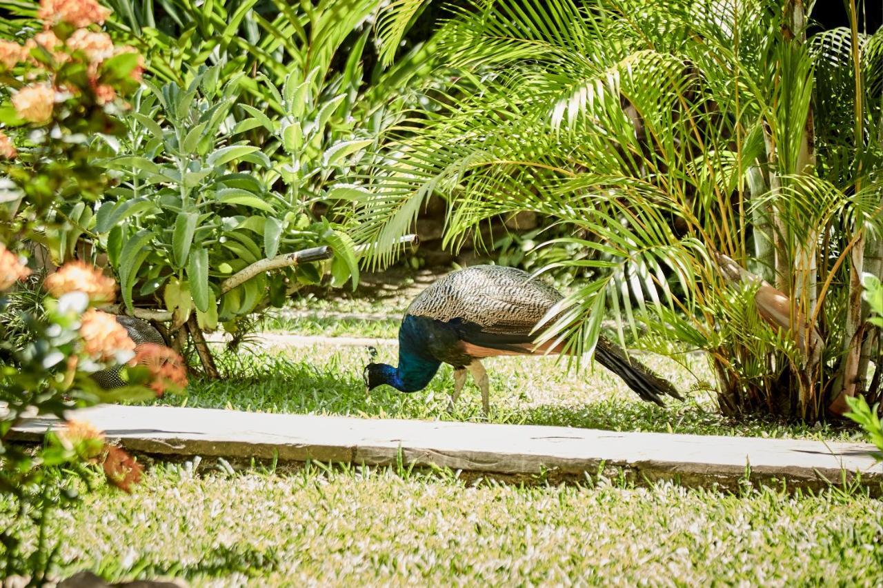 Villa Lu Amazon Ecolodge Тарапото Екстер'єр фото