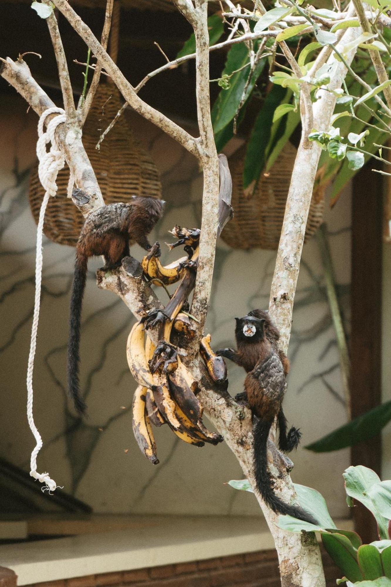 Villa Lu Amazon Ecolodge Тарапото Екстер'єр фото